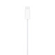 Apple Watch Magnetic Fast Charger to USB-C  Woven Cable (1M) - MT0H3ZM/A